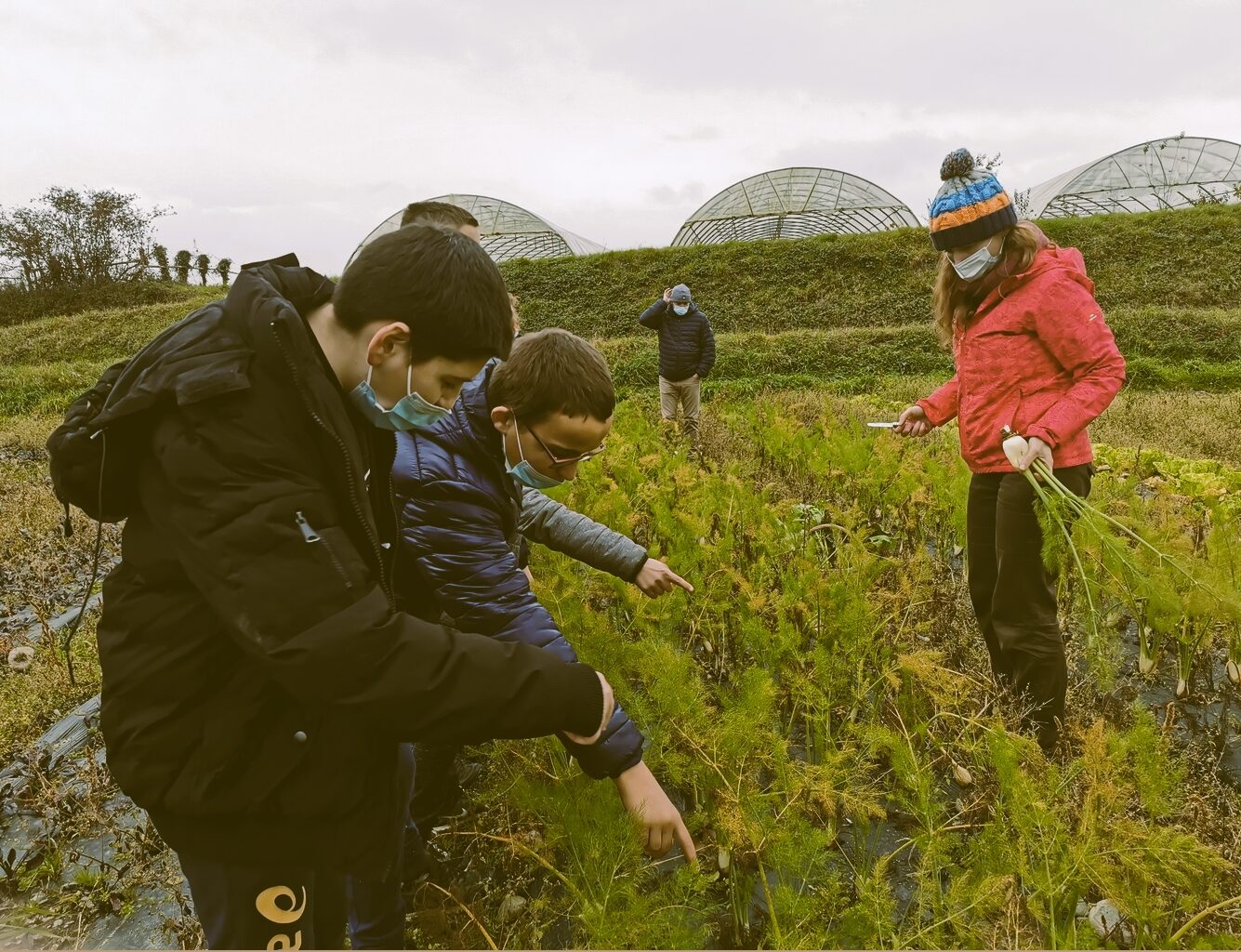 une visite guidée annuelle